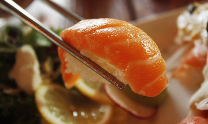 salmon-1353598_1280