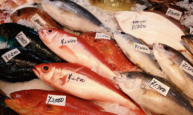 YMD74_uoichibanosakana